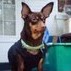 Judy Knowles Photo 31