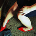 Ruby Moody Photo 13