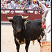 Gerardo Ortega Photo 39
