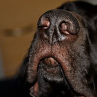 Archie Campbell Photo 39