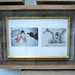 Susan Bruce Photo 22