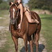 Robyn Brown Photo 32