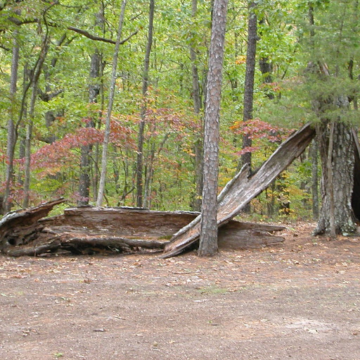 David Toombs Photo 13