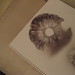 Stephen Spore Photo 6