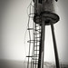 Emilio Forte Photo 15