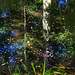Diane Waters Photo 9