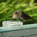 Martin Lesser Photo 7