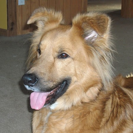 Sherry Ryan Photo 27