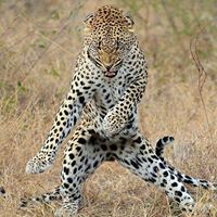 Neil Starkey Photo 5