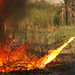 Joshua Robbins Photo 15