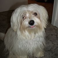 Teresa Salyers Photo 5