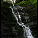 Forrest Warren Photo 25