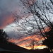 Michael Hedges Photo 22