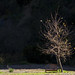 Debra Nicholas Photo 21
