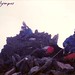 Todd Schuster Photo 14