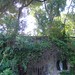 Chuan Cheng Photo 17