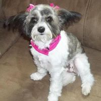 Nancy Vanover Photo 17