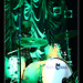 Jason Neal Photo 24
