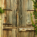 Mohannad Khatib Photo 10