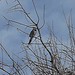 Jay Call Photo 10