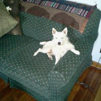Penny Davidson Photo 6