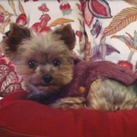 Linda Gruber Photo 10