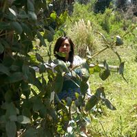 Yolanda Pacheco Photo 21