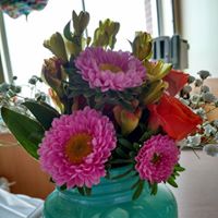 Doris Gruber Photo 10
