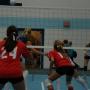 Colleen Meyers Photo 20