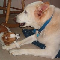 Dorothy Cagle Photo 1