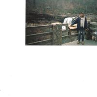 Larry Westfall Photo 11