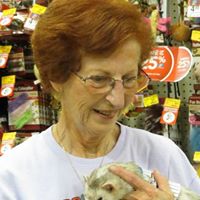 June Phipps Photo 19