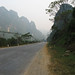 Hoa To Photo 25