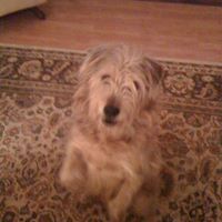 Sally Roberson Photo 6