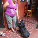 Susan Duenas Photo 4