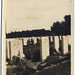 Robert Sever Photo 14