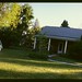 Cathy Gibbs Photo 15