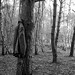 Joseph Vickery Photo 8