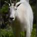 Robert Daugherty Photo 40