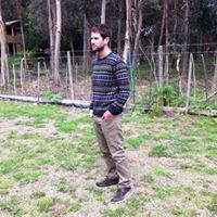 Carlos Palma Photo 14