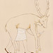 Crystal Hunter Photo 13