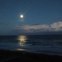 Debra Mcclain Photo 24