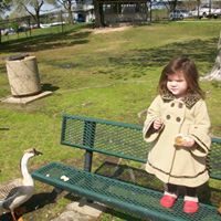 Julia Stringer Photo 12