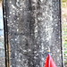 Elizabeth Osborn Photo 22