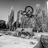 Steve Field Photo 20