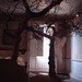 Geraldine Hall Photo 8
