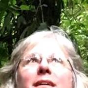 Nancy Dickinson Photo 13