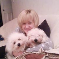 Tracey Hoffman Photo 19