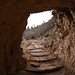 Ron Bright Photo 23