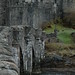 Eileen Ross Photo 27